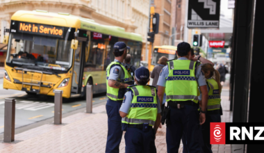 Wellington pedestrian seriously hurt after being hit by bus