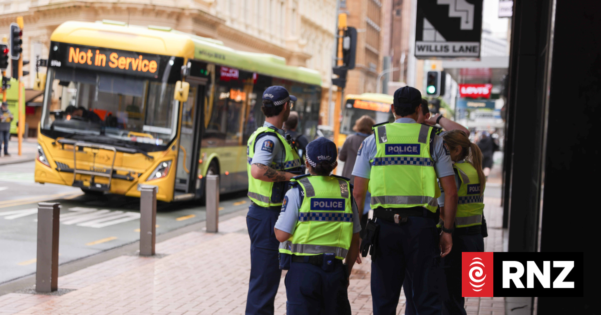 Wellington pedestrian seriously hurt after being hit by bus