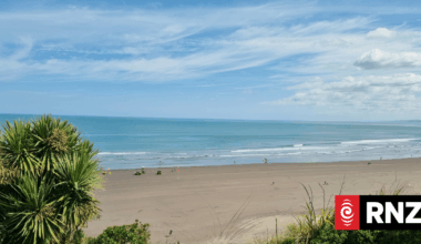 Raglan residents worried about hosting World Surf League Championship Tour