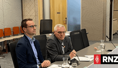 Local elections chief raises alarm over voter roll anomalies