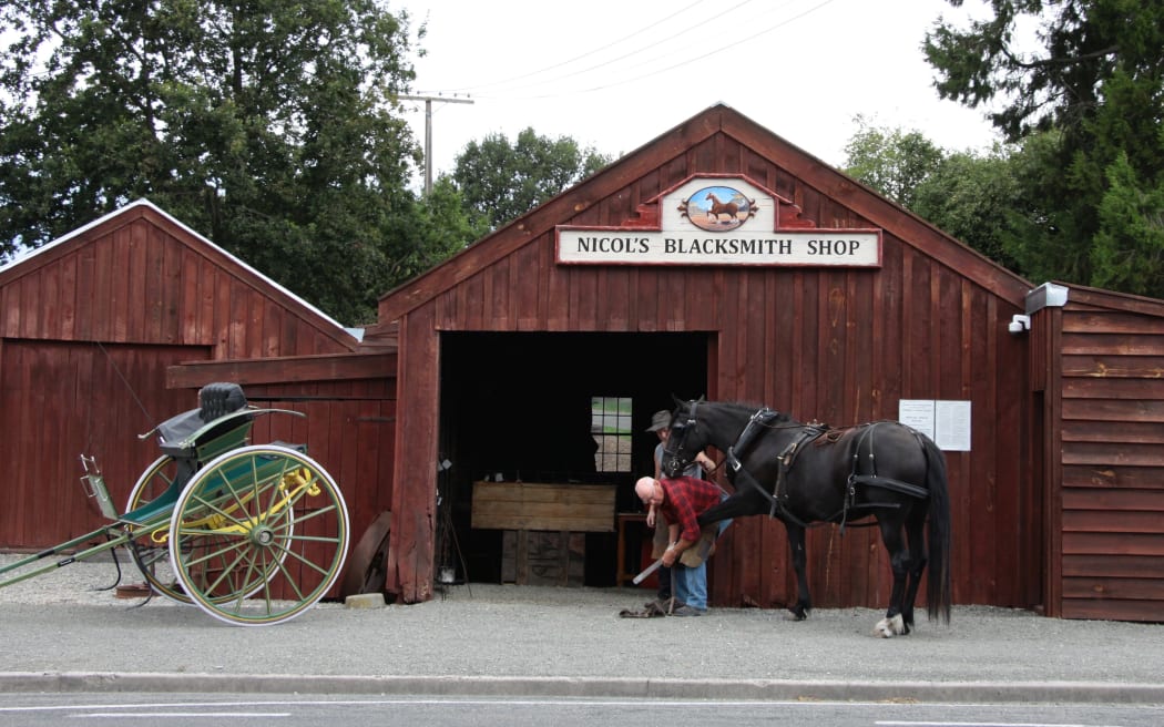 Master saddler and farrier Steve Smith shoeing Brook the gig horse at Nicol's Blacksmith Shop in Duntroon