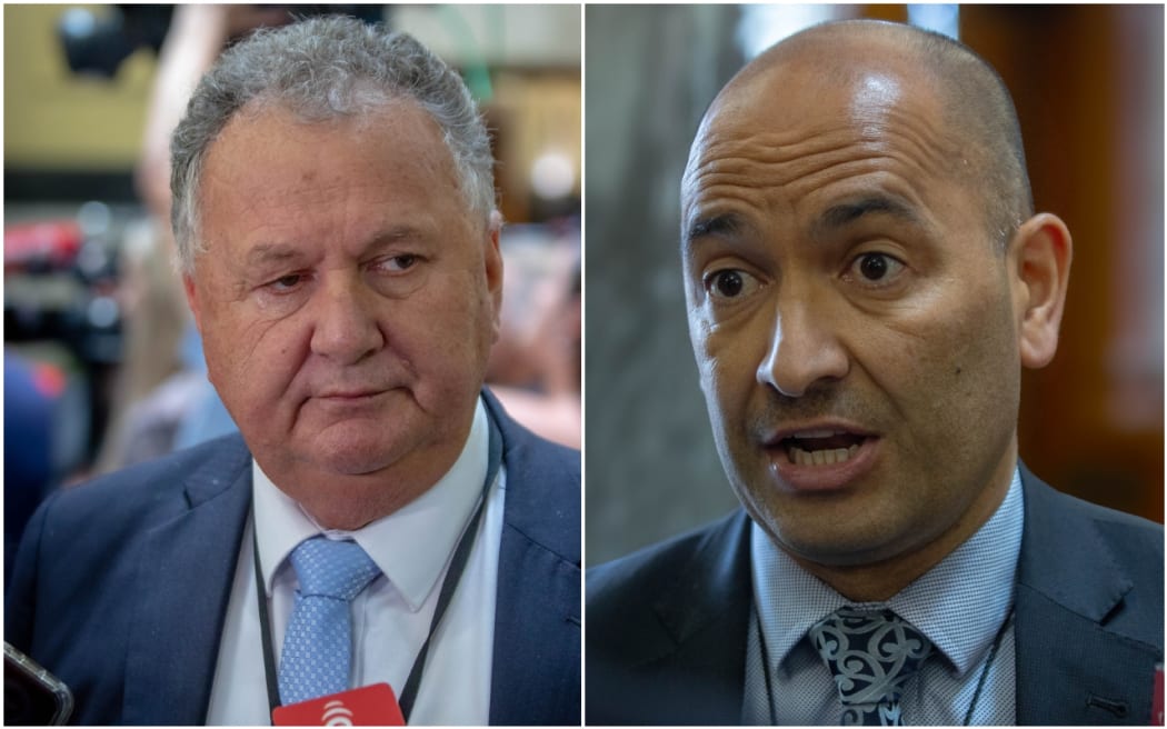 Shane Jones and Tama Potaka.