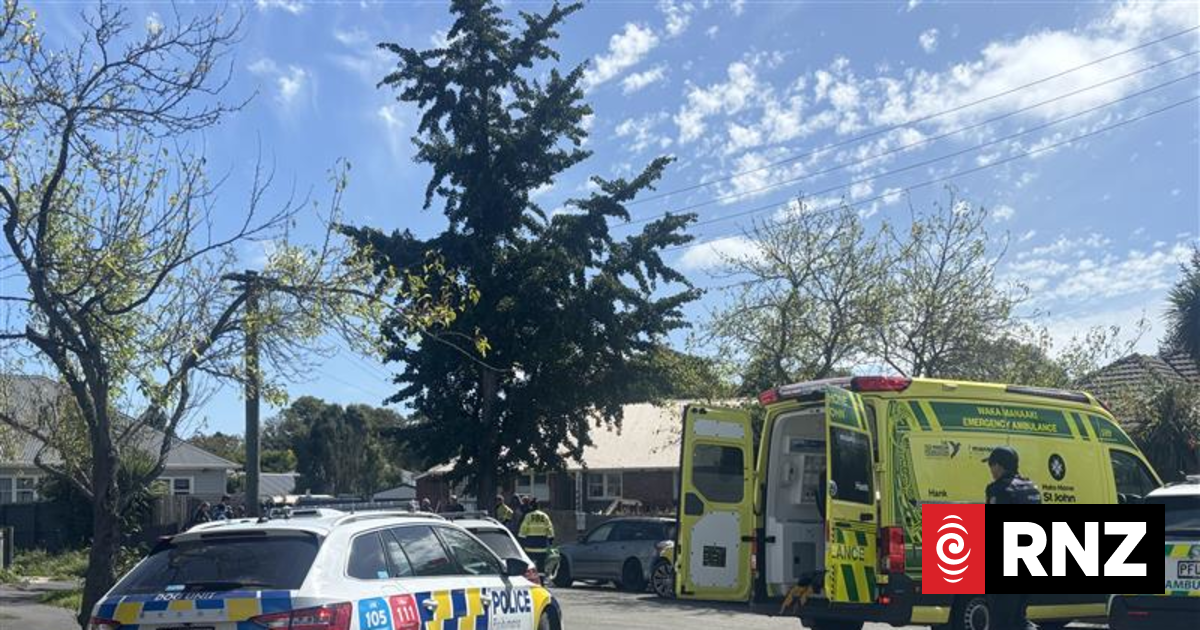 Dogs that injured three people in Christchurch could be euthanised, councillor says