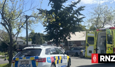 Three injured in dog attack in Bryndwr, Christchurch