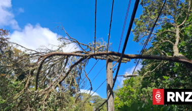 Confusion over who is meant to deal with ongoing power cuts