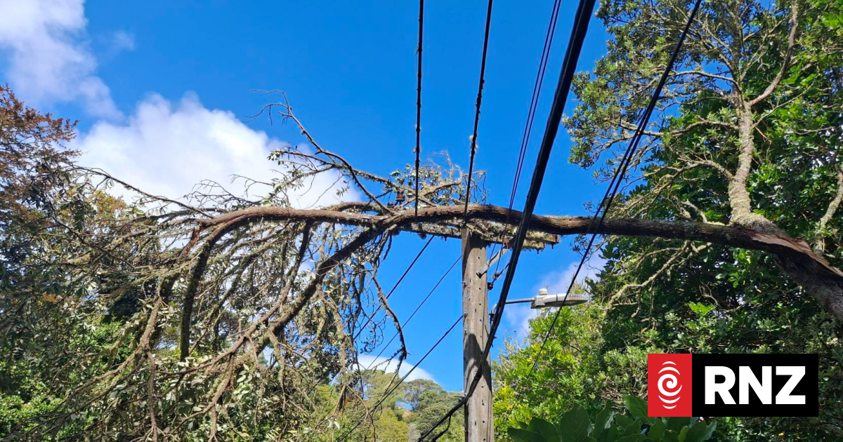 Confusion over who is meant to deal with ongoing power cuts