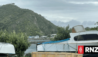 Builder who bought former Wellington mayoral desk happy to give it back