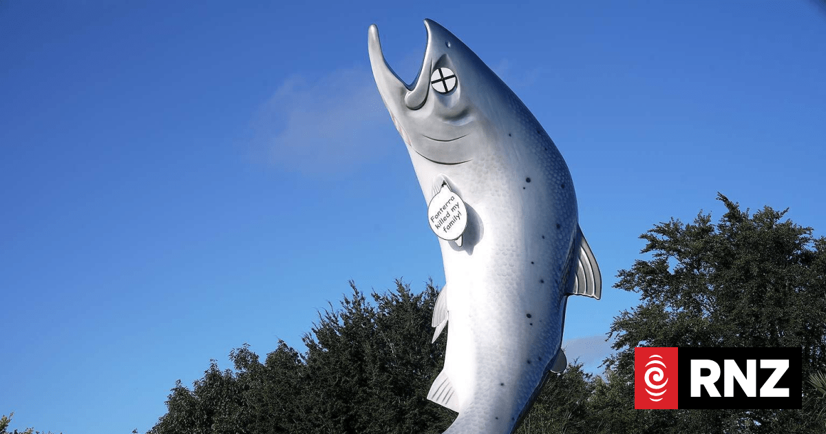 Fishing group slams Greenpeace Rakaia salmon stunt