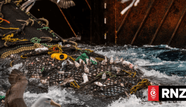 Minister defends bottom trawling, despite poll showing majority of NZers want it banned