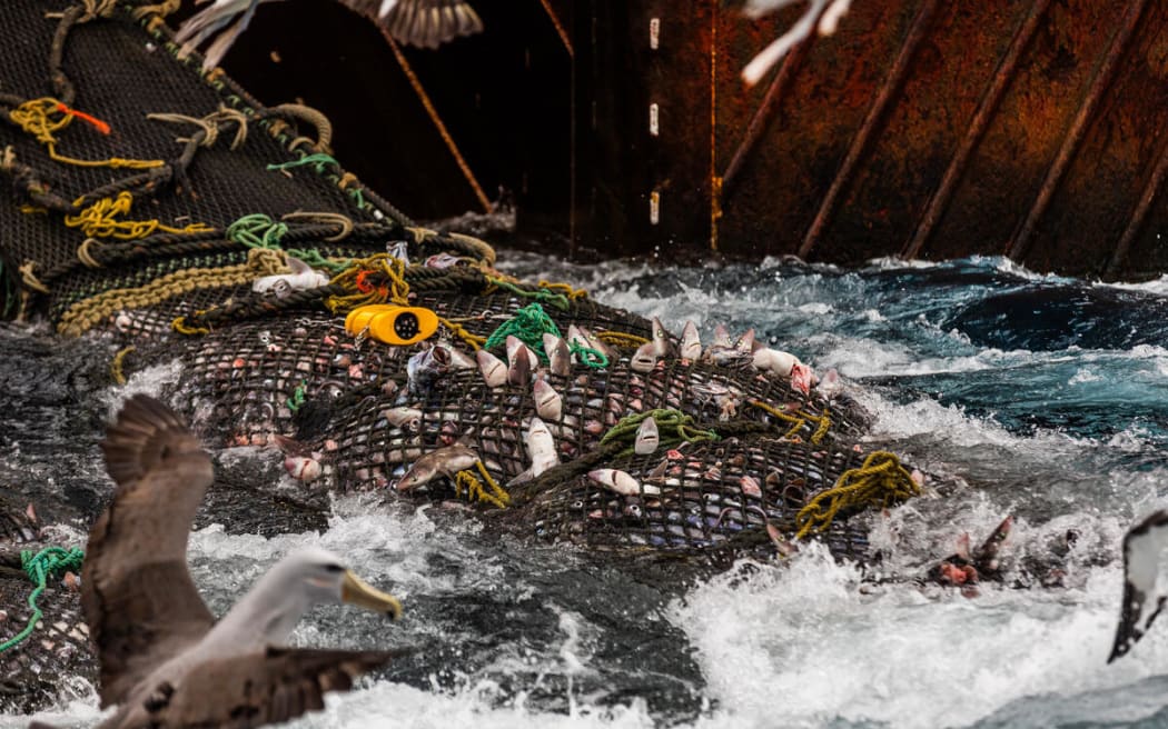 Greenpeace Aotearoa activists confront the Talley’s bottom trawler Amatal Atlantis on the Chatham Rise, painting “ocean killer” on its hull to protest destructive bottom trawling.
The Rainbow Warrior is off the coast of Aotearoa campaigning for an end to New Zealand's destructive bottom trawling in New Zealand waters and the Tasman Sea.