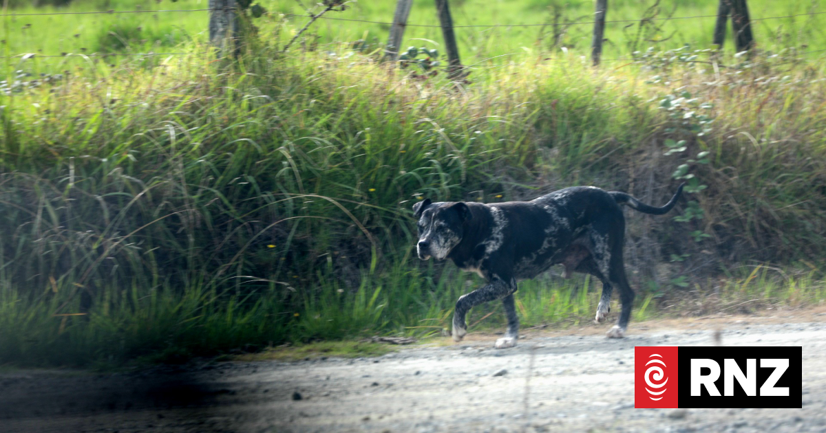 What dog control laws say about fatal attacks - and what people want to change