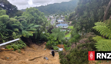 Father and kids flee large slip under their home