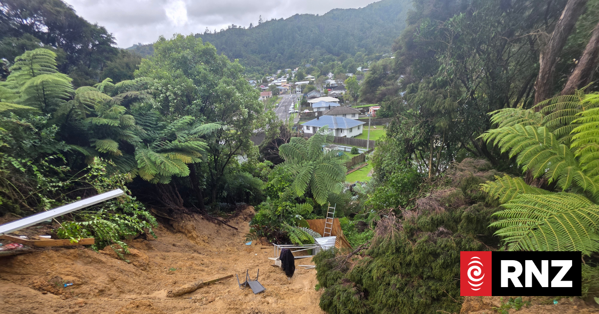 Father and kids flee large slip under their home