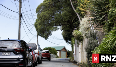 Neighbourhood feud in Wellington over yellow lines
