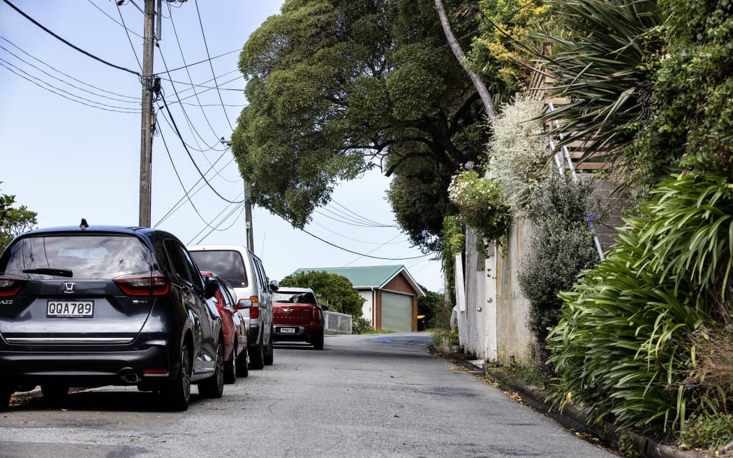 In the midst of a neighbourhood dispute, Wellington City Council has decided to make a stretch of Fortification Rd no stopping at all times.