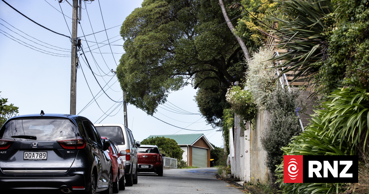 Neighbourhood feud in Wellington over yellow lines