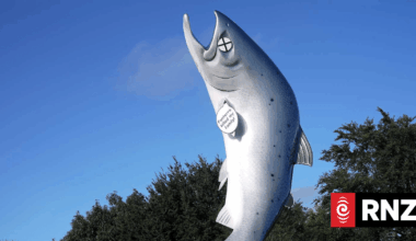 Fishers 'living the funeral' of low salmon, fish stocks in Rakaia River