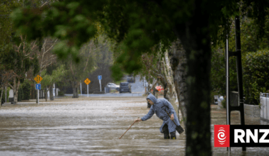 In pictures: Heavy rain and wind hits Wellington region bringing down trees, flooding roads