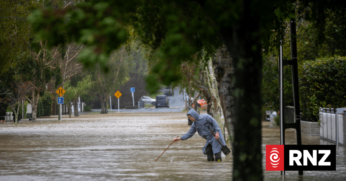 In pictures: Heavy rain and wind hits Wellington region bringing down trees, flooding roads