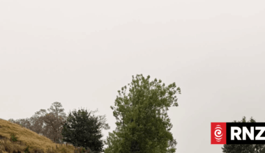 Live weather: Warnings across North Island