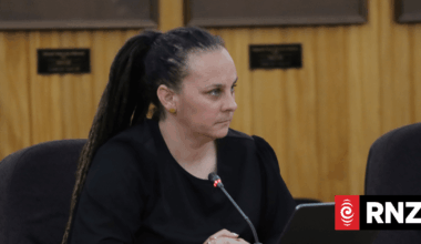 Blank Māori engagement section in governance manual raises questions