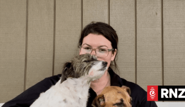 Barking dog row leaves owner afraid to leave home