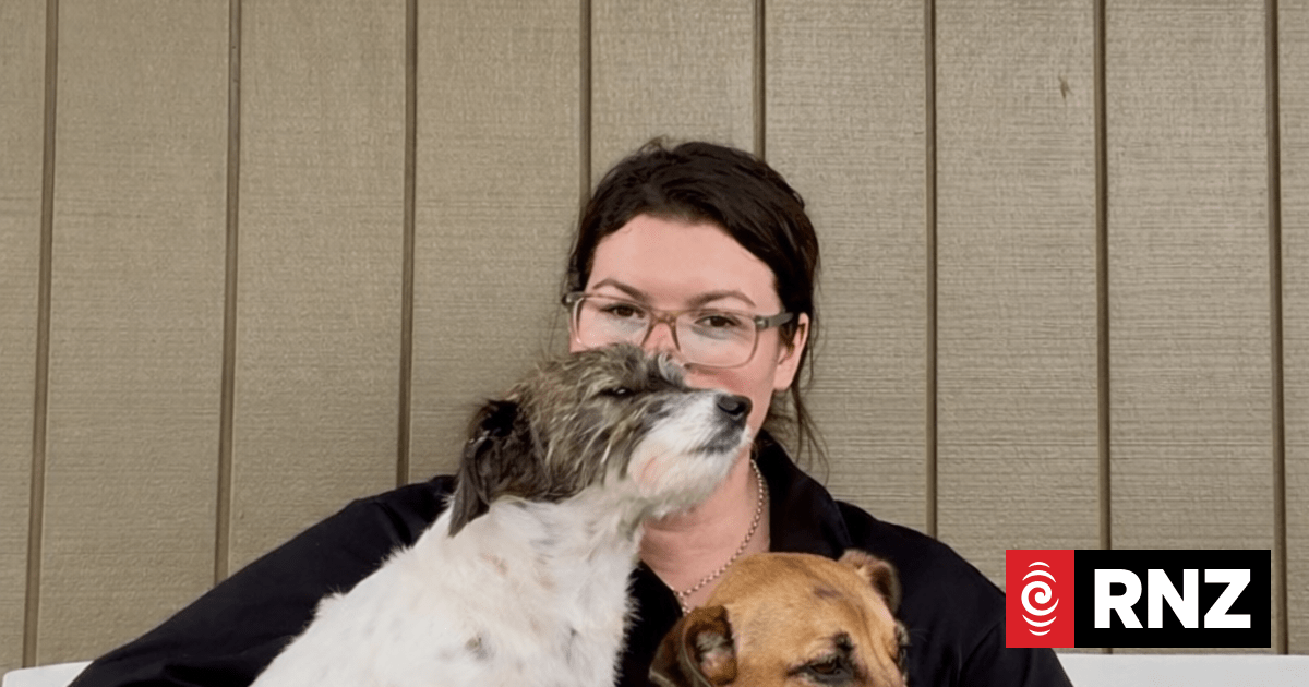 Barking dog row leaves owner afraid to leave home