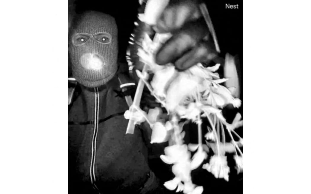 In this handout photo provided on February 10, 2026 by Pima County Sheriff’s Department, shows an image captured by a security camera shows what the Federal Bureau of Investigation (FBI) describes as an armed individual appearing to have tampered with the camera at Nancy Guthrie's front door the morning of her disappearance at her home in Tucson, Arizona, New images released by the FBI on Tuesday show a person in a  full face balaclava apparently tampering with a front door camera outside the home of the mother of a US TV host who has been missing for ten days. (Photo by HANDOUT / Pima County Sheriff's Department / AFP) / RESTRICTED TO EDITORIAL USE - MANDATORY CREDIT "AFP PHOTO / PIMA COUNTY SHERIFF'S DEPARTMENT " - NO MARKETING NO ADVERTISING CAMPAIGNS - DISTRIBUTED AS A SERVICE TO CLIENTS