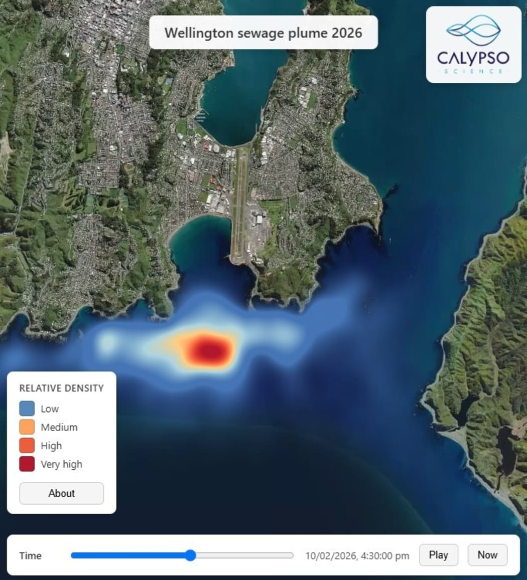 Calypso Science was a New Plymouth based oceanography research company, with a focus on coastal currents.  It created a model of Wellington's south coast after the news of the Moa Point sewage plant failure.