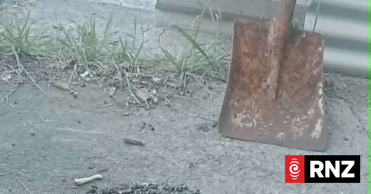 Glass repair shops busy after roadworks through Central Hawke's Bay town