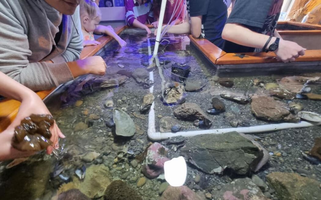 The bait house is its touch pool at the Marine Education Centre Bait House was still open for those wanting to connect with the marine environment in a different way.