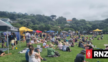 Island Bay Festival cancels water-based activities due to sewage spill but thousands still attend