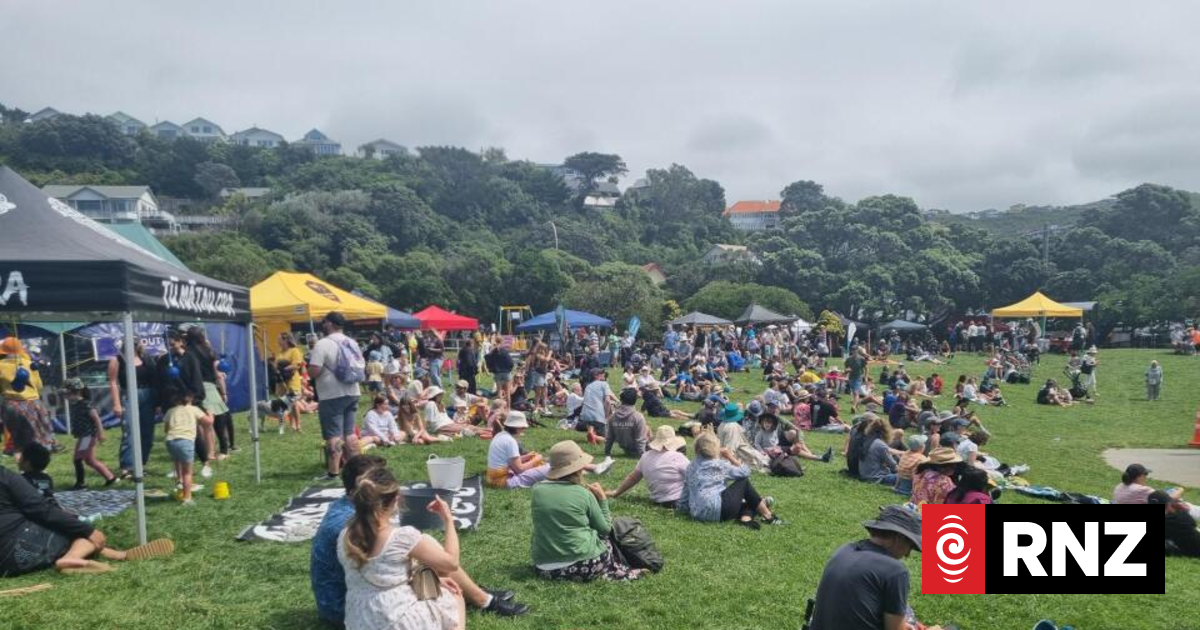 Island Bay Festival cancels water-based activities due to sewage spill but thousands still attend