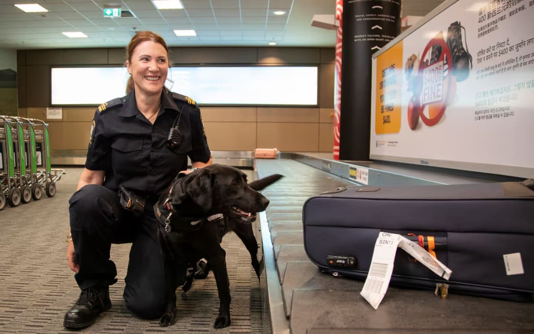 Customs officer and dog handler Megan at Christchurch Airport.