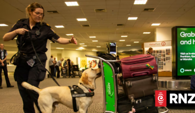 Inside the quiet war at Christchurch's border: How Customs fights rising drug threats