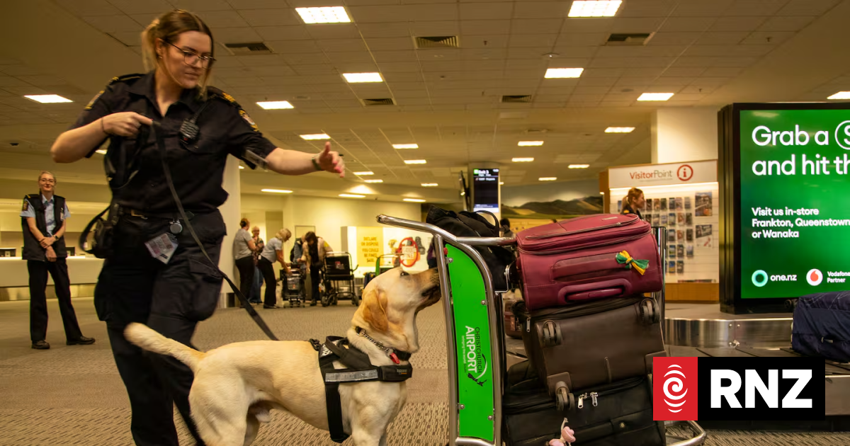 Inside the quiet war at Christchurch's border: How Customs fights rising drug threats