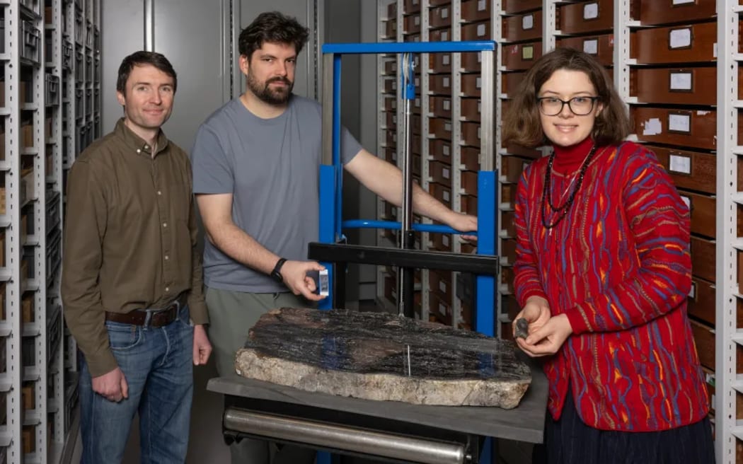 Fossil - single use for CNN story