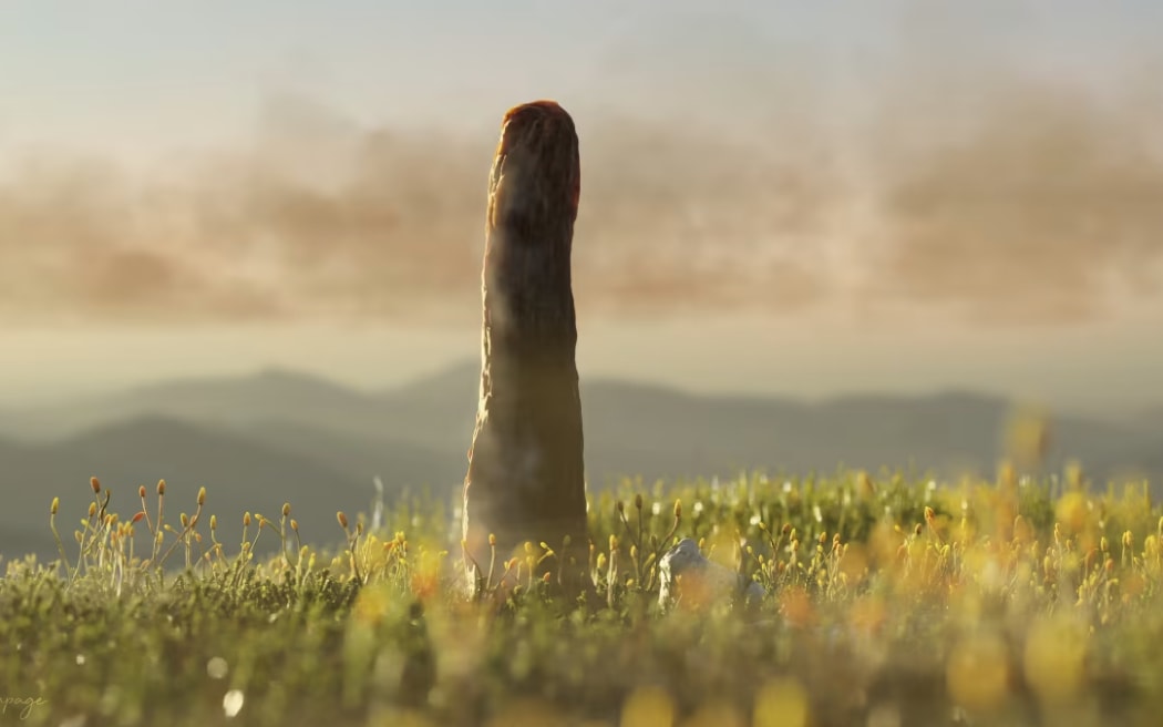 Fossil - single use for CNN story