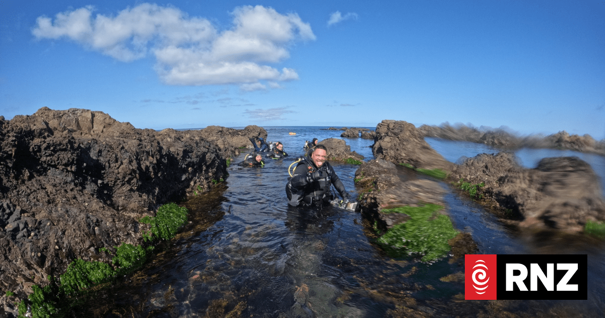 Fears over financial impact of Wellington's south coast sewage leak