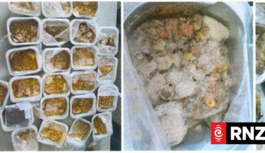 Haeata Community Campus disputes MPI's mouldy school lunch claim