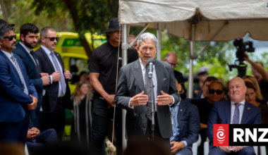 New Zealand First to campaign on Māori seats referendum