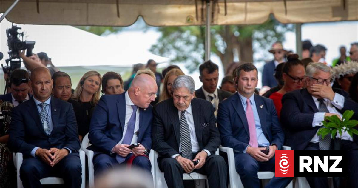 Opposition infighting gives coalition brief relief at Waitangi