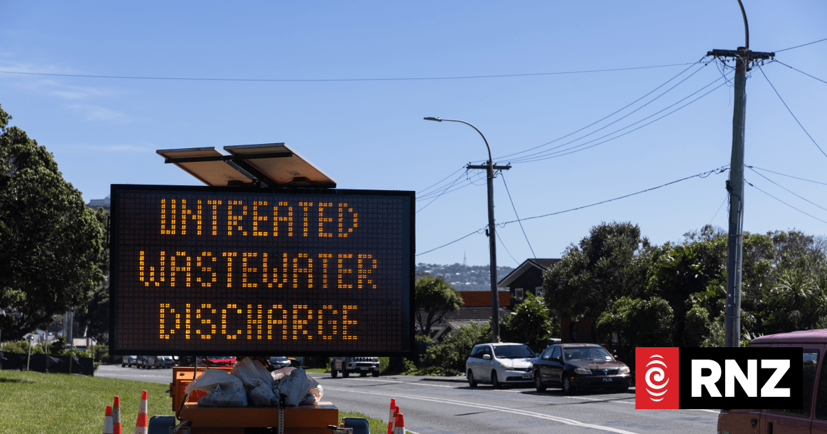 'It's a ghost town': customers staying away after Moa Point sewage spill in Wellington