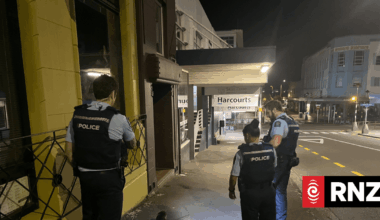 Adventurous seal pup given police escort out of New Plymouth CDB