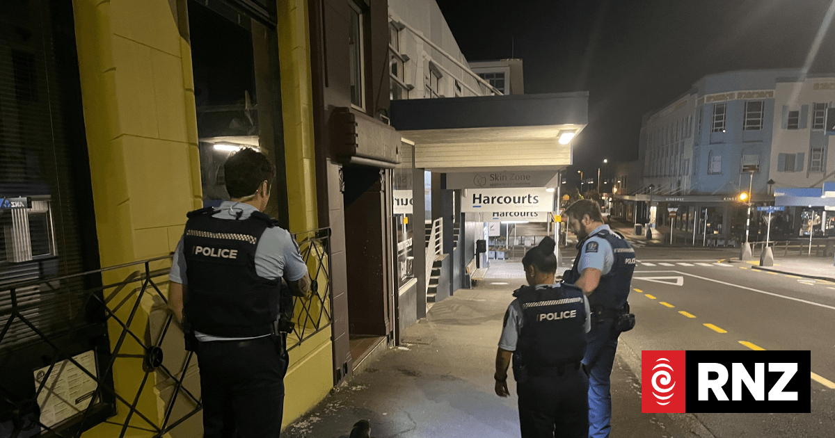 Adventurous seal pup given police escort out of New Plymouth CDB