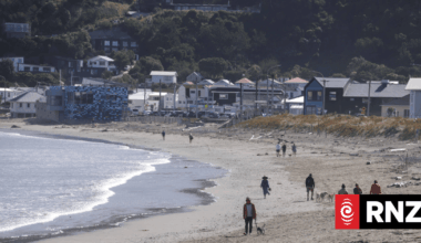 Removing sewage before it goes septic is main focus of Wellington water company