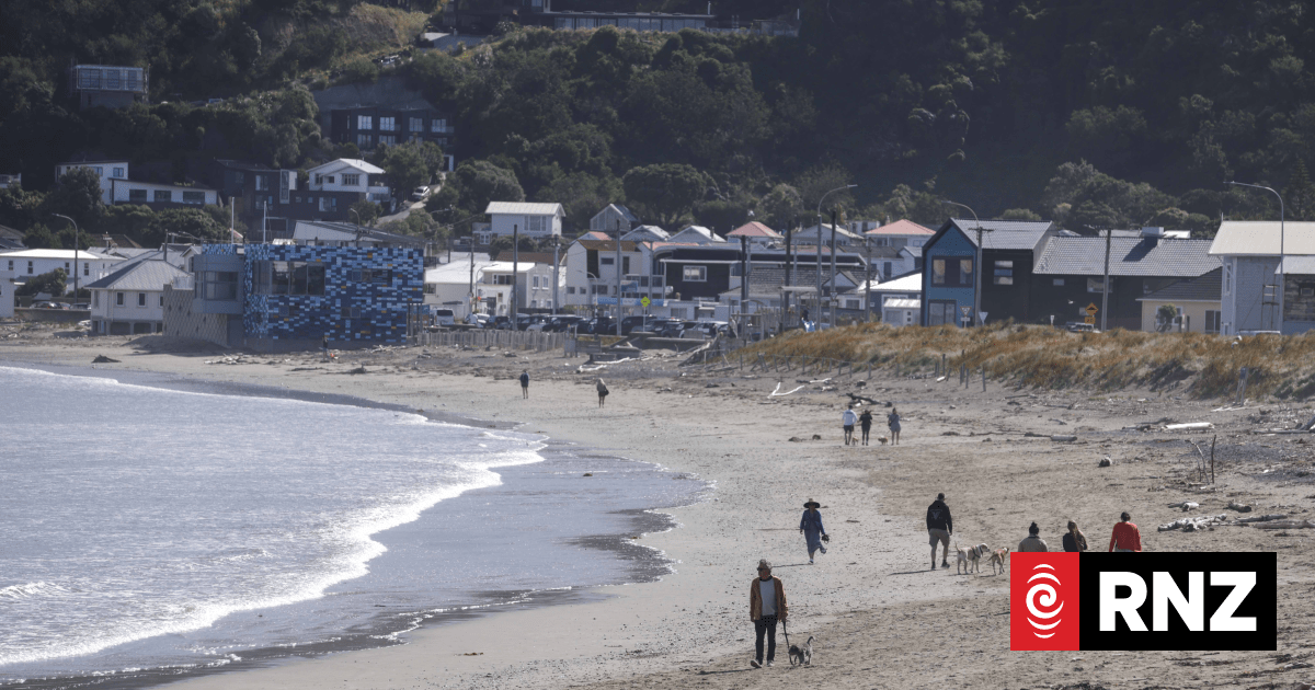 Removing sewage before it goes septic is main focus of Wellington water company