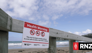 'We can't keep telling people just to stay away from the beach' - Wellington mayor