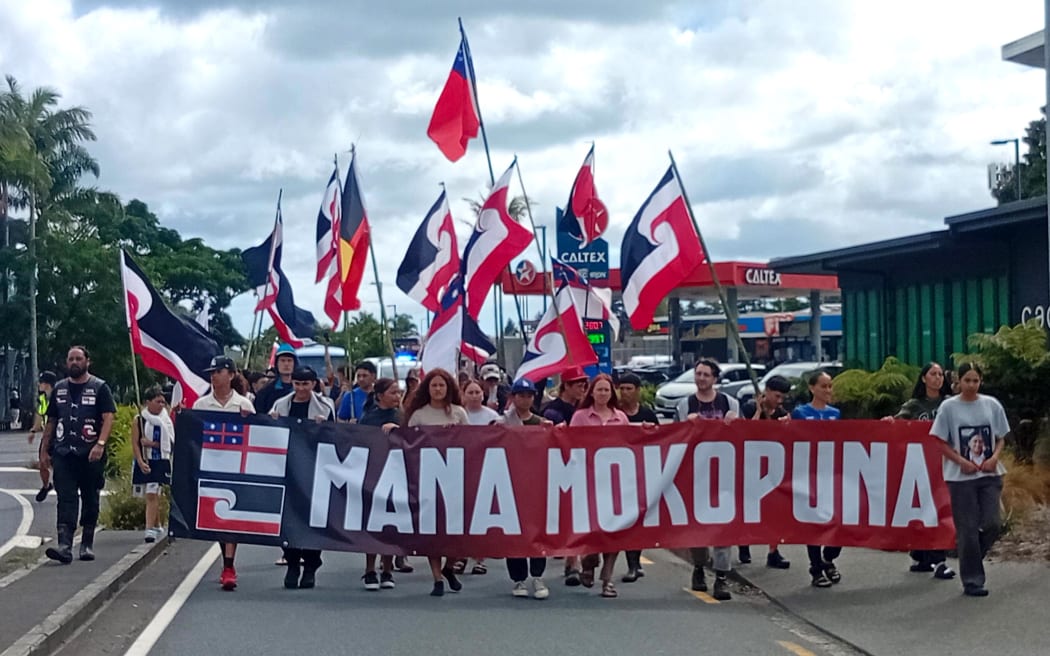 The hīkoi makes its way through Kerikeri on Wednesday morning.