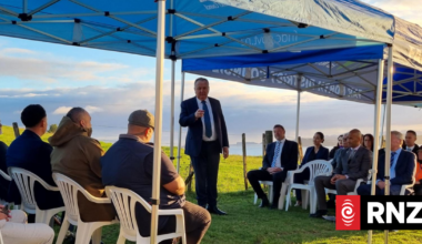 Minister Shane Jones hails roading upgrades to Treaty Grounds